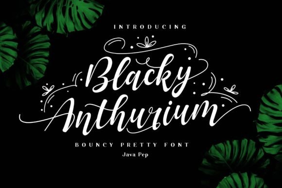 Blacky Anthurium: A Font That Elevates Your Brand