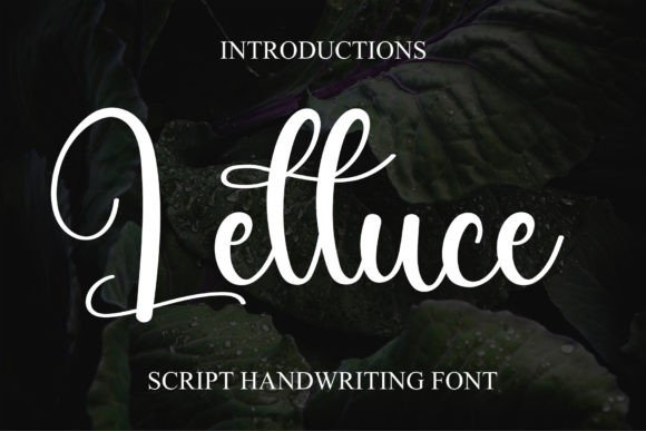 Lettuce: A Handwritten Font for Web Design